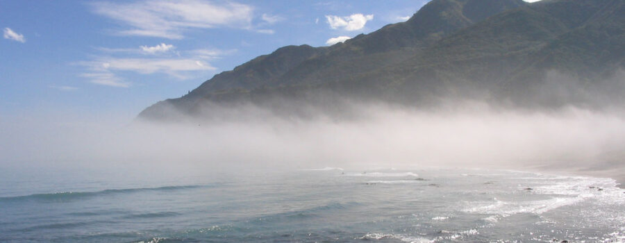 Barker’s Marque - Waverley Vineyards - Ocean side