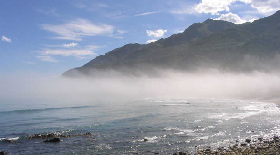 Barker’s Marque - Waverley Vineyards - Ocean side