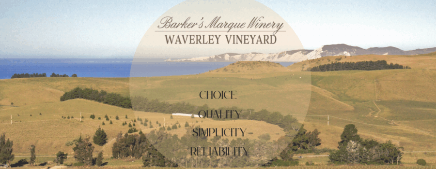 waverley-vineyard- NZ