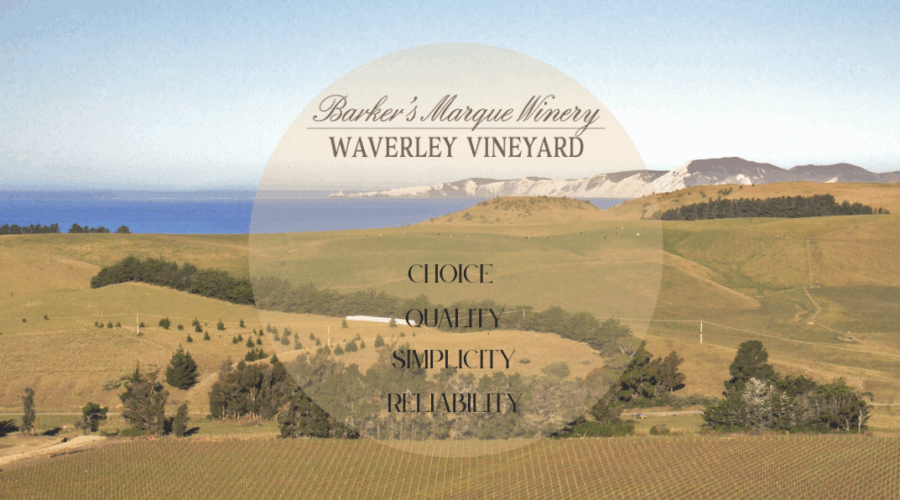 waverley-vineyard- NZ