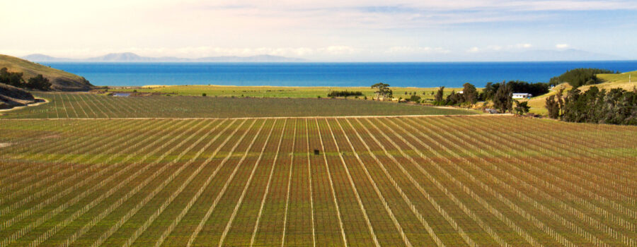 Blind River, Marlborough, NZ