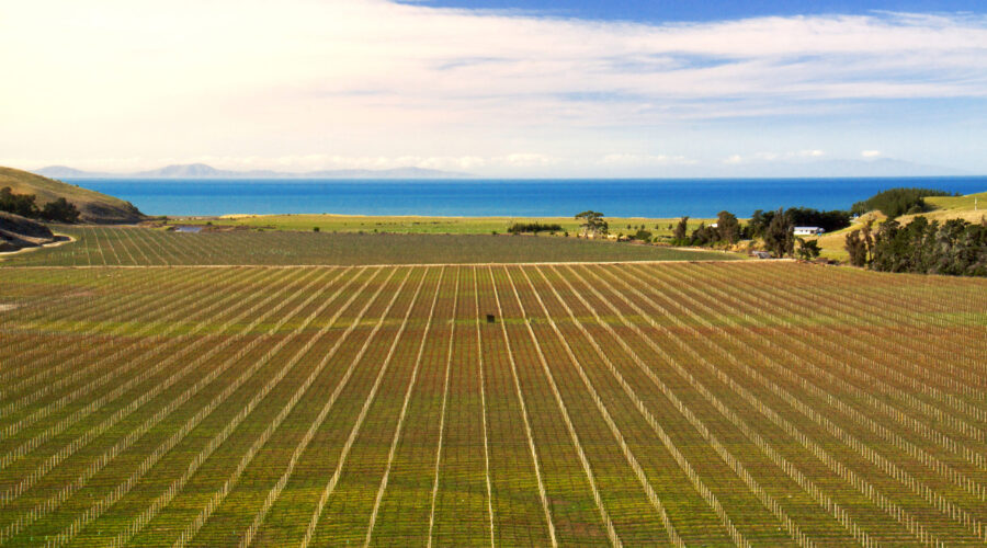 Blind River, Marlborough, NZ