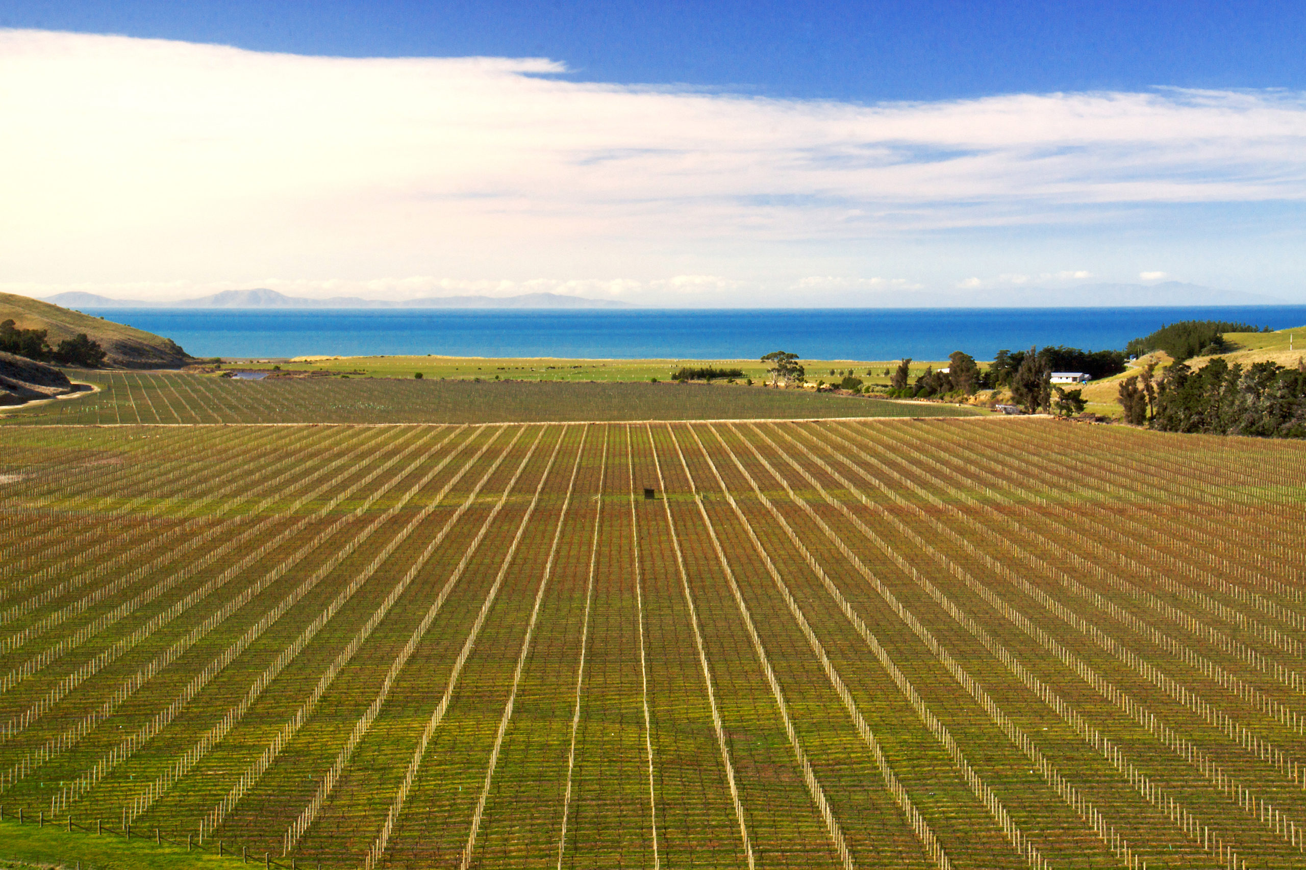 Blind River – Marlborough’s Hidden Gem and Home to Barker’s Marque Waverley Vineyard Wines