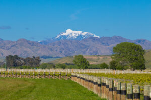 Waverley Vineyards - Barker's Marque Wines