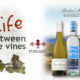 Life Between the Vines: A Conversation with Barker’s Marque – Waverley Vineyard