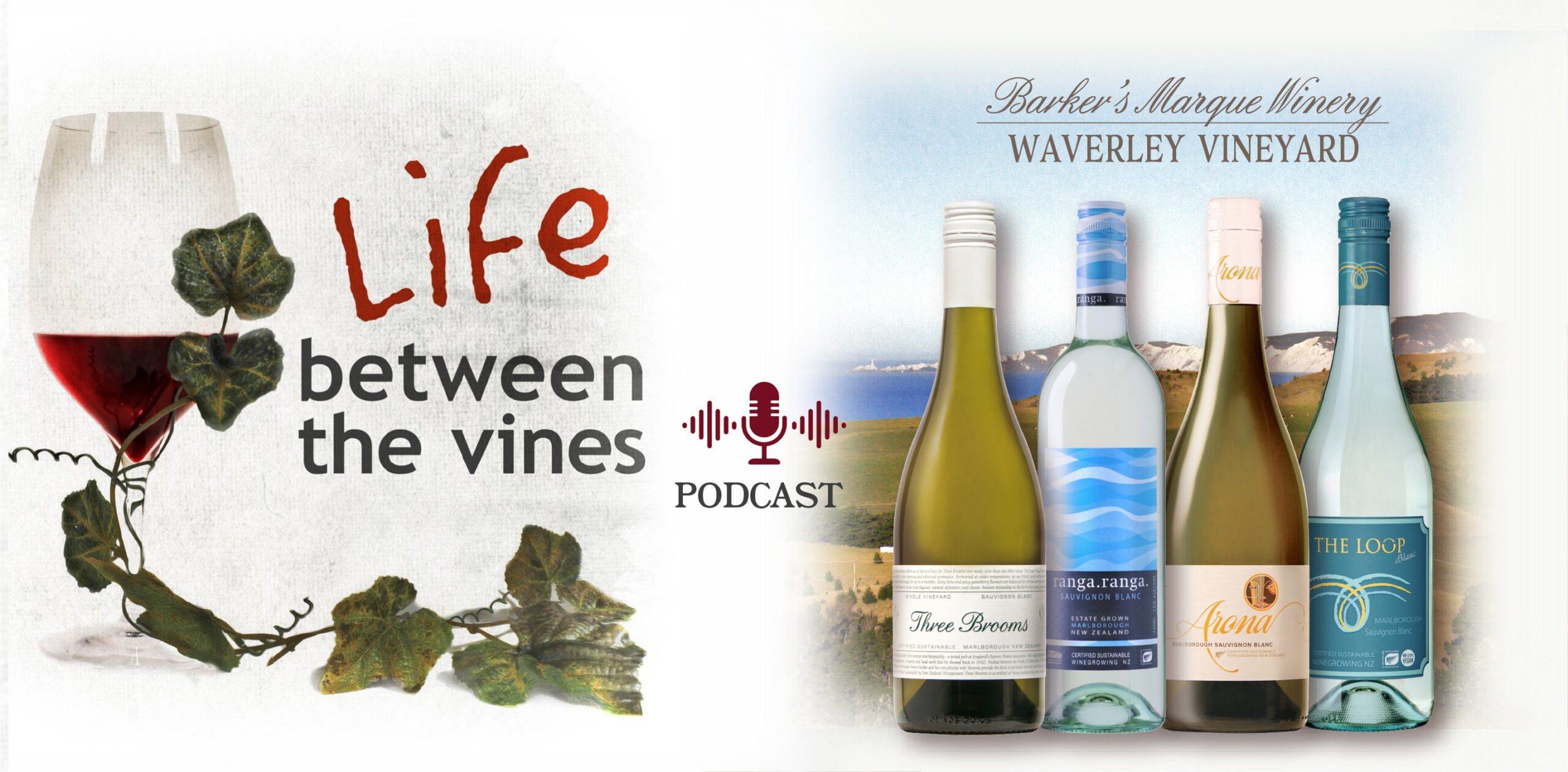 Life Between the Vines: A Conversation with Barker’s Marque – Waverley Vineyard